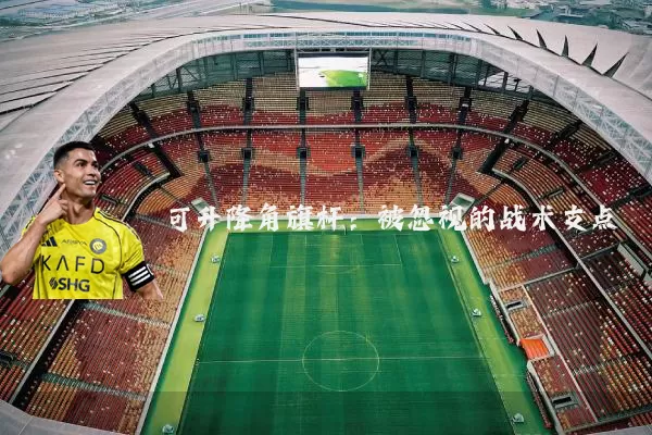 可升降角旗杆：被忽视的战术支点